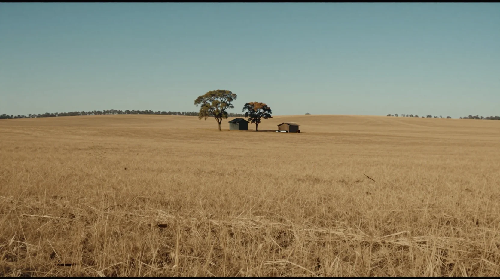 The Wheatbelt Fields